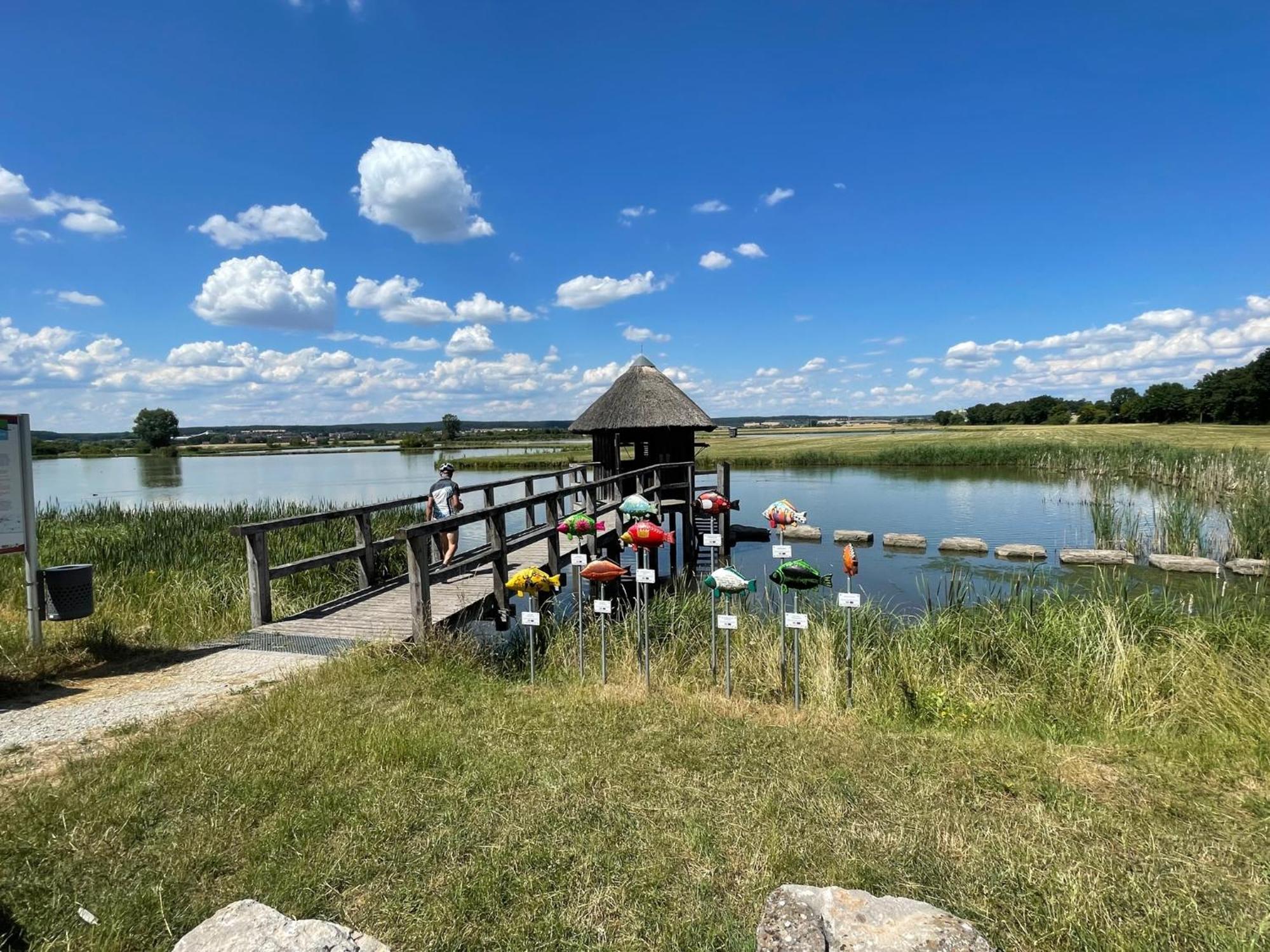 Appartamento Ferienidyll Aumuehle "Muswiese" Rot am See Esterno foto